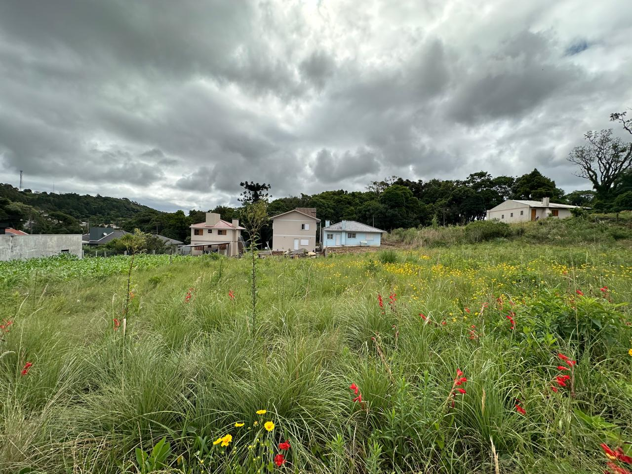 Imagem propriedade Terreno