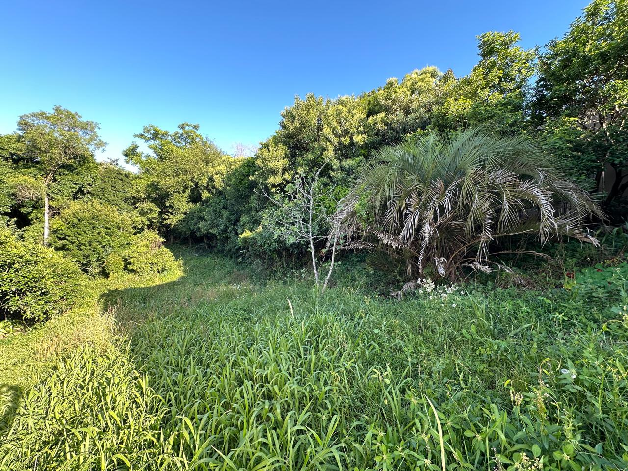 Imagem propriedade TERRENO CENTRAL
