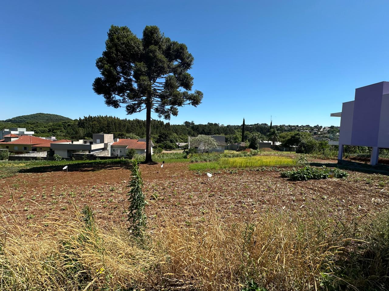 Imagem propriedade TERRENO
