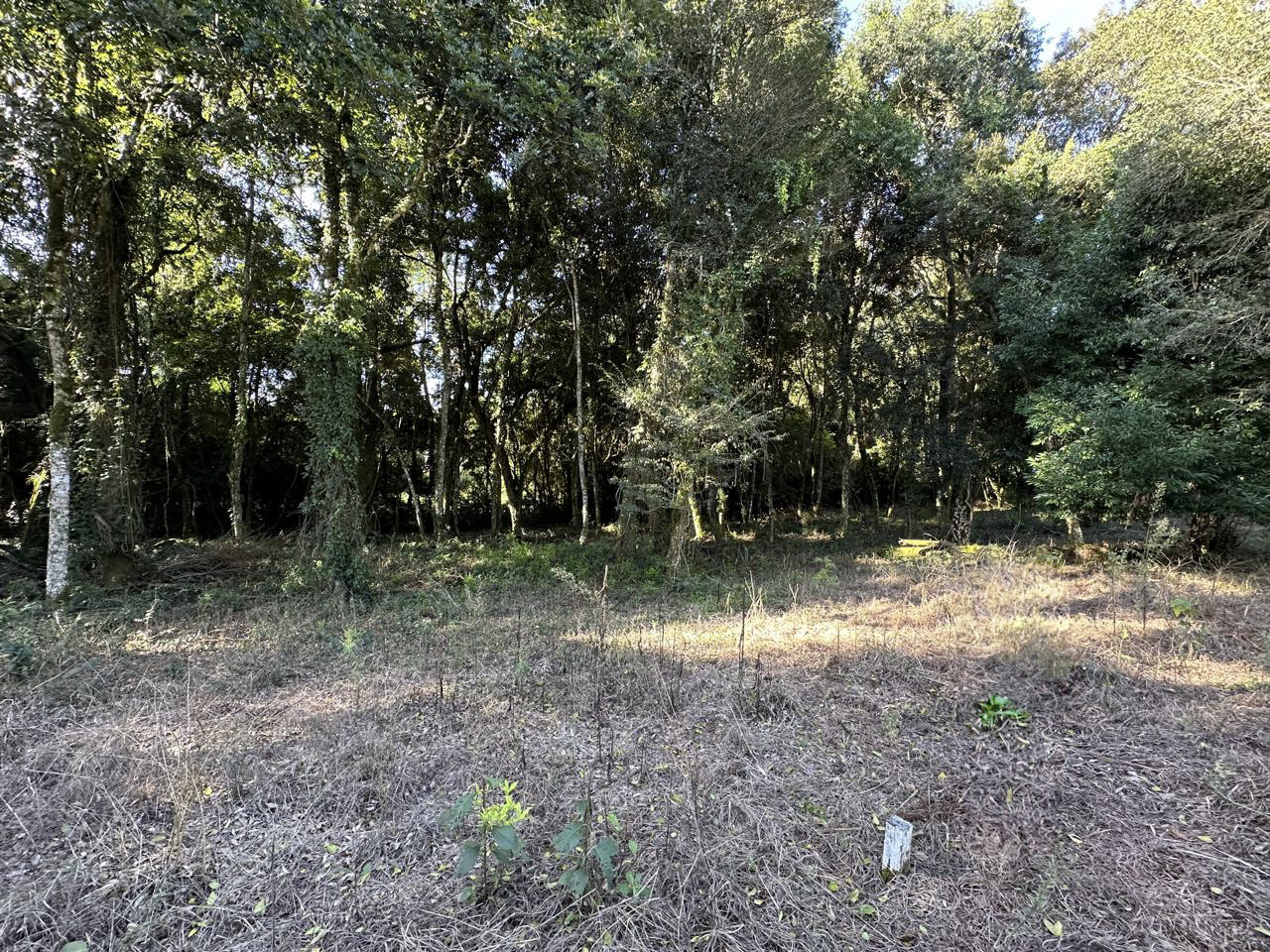 Imagem propriedade TERRENO LOT JARDINS