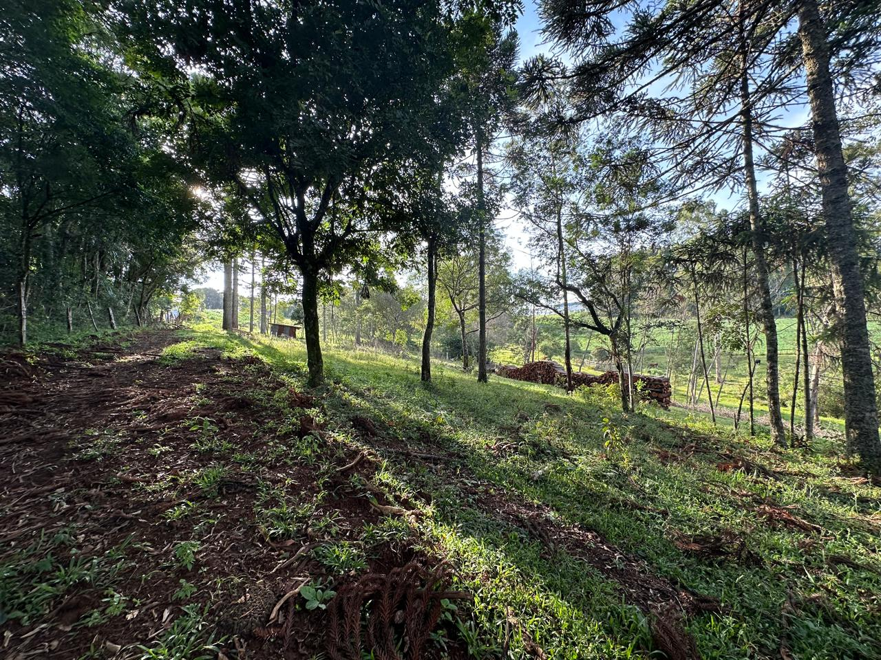 Imagem propriedade SÍTIO