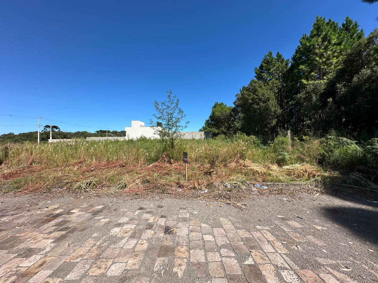 Imagem propriedade TERRENO