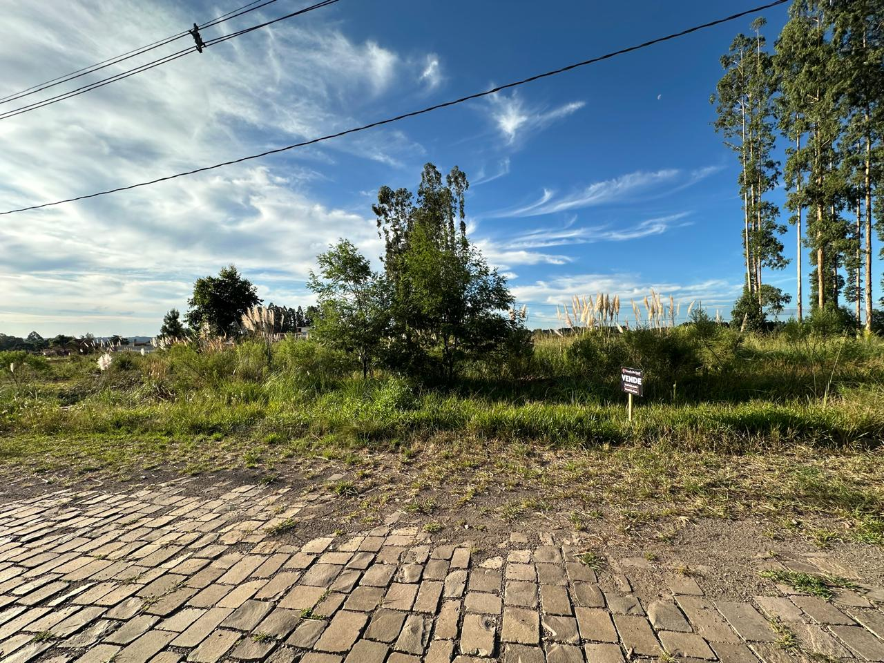 Imagem propriedade TERRENO